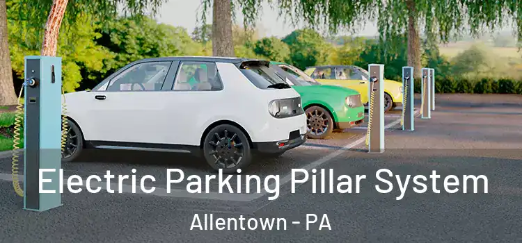  Electric Parking Pillar System Allentown - PA