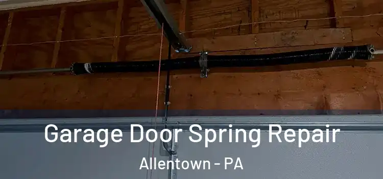  Garage Door Spring Repair Allentown - PA