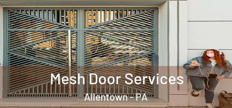  Mesh Door Services Allentown - PA
